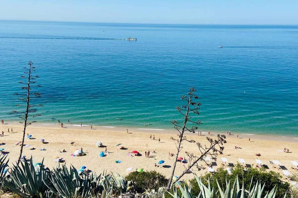 Апартаменти Estudio Vista Mar Com A/C E Acesso Privado A Praia Сезімбра Екстер'єр фото